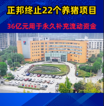 正邦终止22个养猪项目，36亿元用于永久补充流动资金
