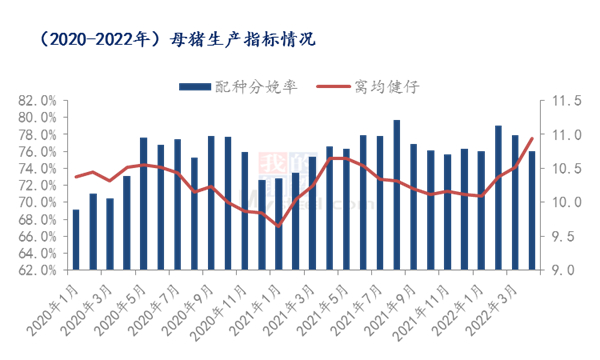 中国养猪网