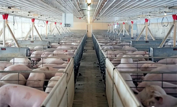 疫病区域控制计划为何难以实现，这5个关键点值得反思