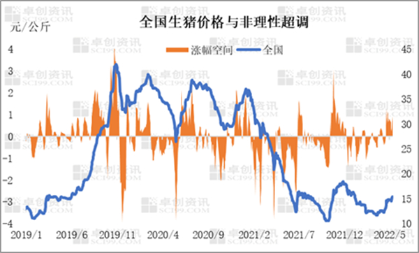 中国养猪网
