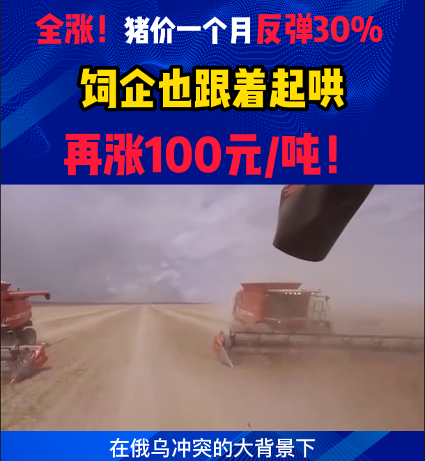 全涨！猪价一个月反弹30% ！饲企也跟着起哄，再涨100元/吨！
