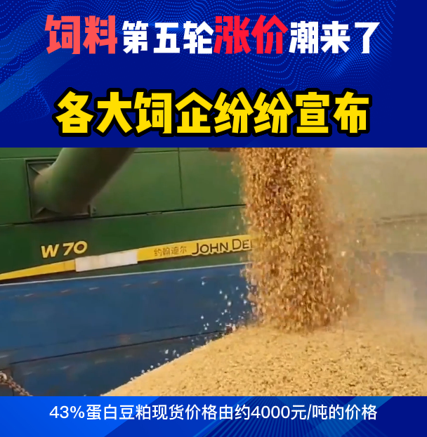 饲料第五轮涨价潮来了！各大饲企纷纷宣布……