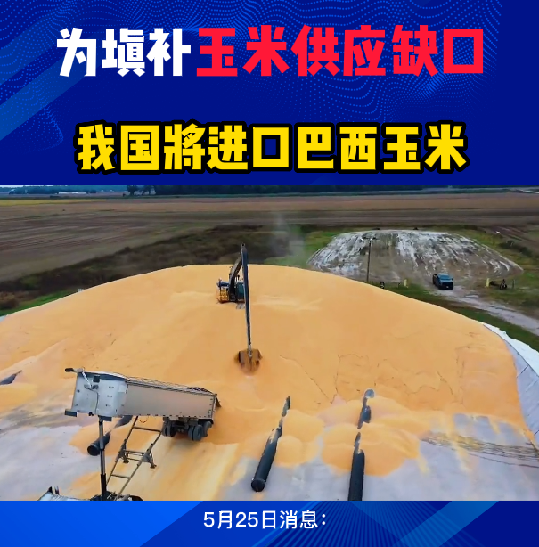 为填补玉米供应缺口，我国将进口巴西玉米