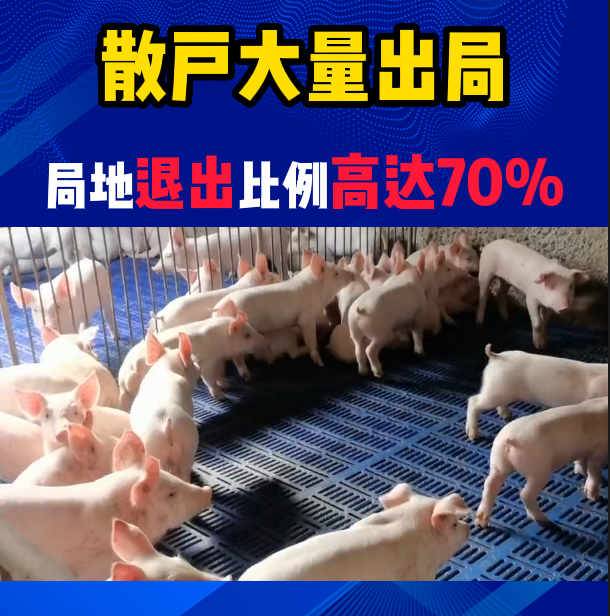 散户大量出局！！局部地区退出比例高达70%