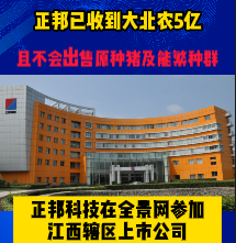 正邦已收到大北农5亿！且不会出售原种猪及能繁种群