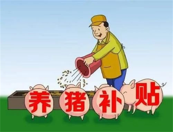 中国养猪网