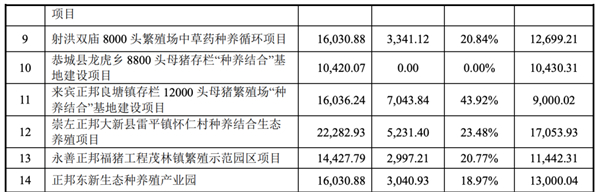中国养猪网