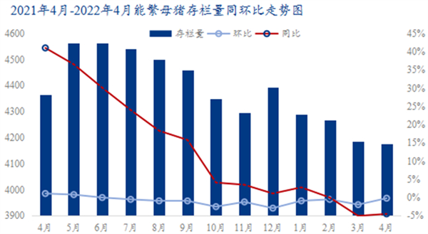 中国养猪网