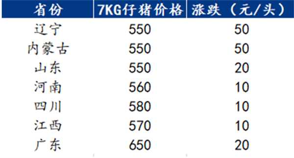 中国养猪网