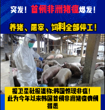 突发！首例非洲猪瘟爆发！养猪、屠宰、饲料全部停工！