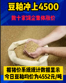 豆粕冲上4500！数十家饲企集体涨价！！