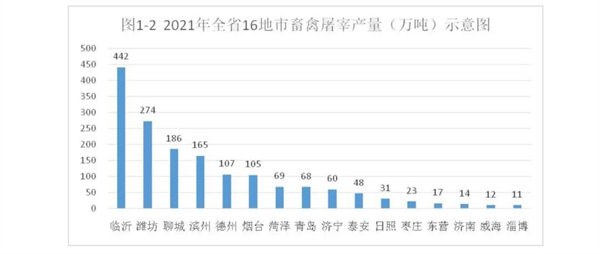 中国养猪网