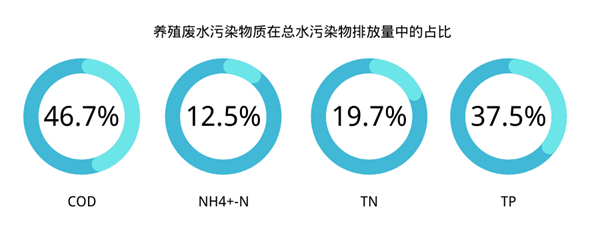 中国养猪网