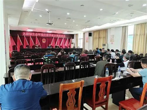 严查250头以下养猪场，一场一策，发现一起查处一起