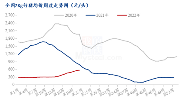 中国养猪网