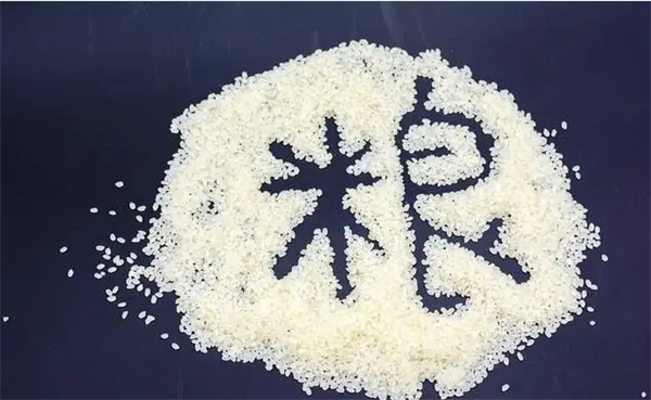 中国养猪网