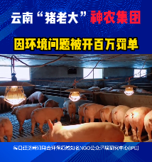 云南“猪老大”神农集团，因环境问题被开百万罚单！