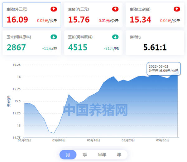 中国养猪网