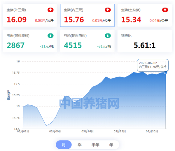 中国养猪网