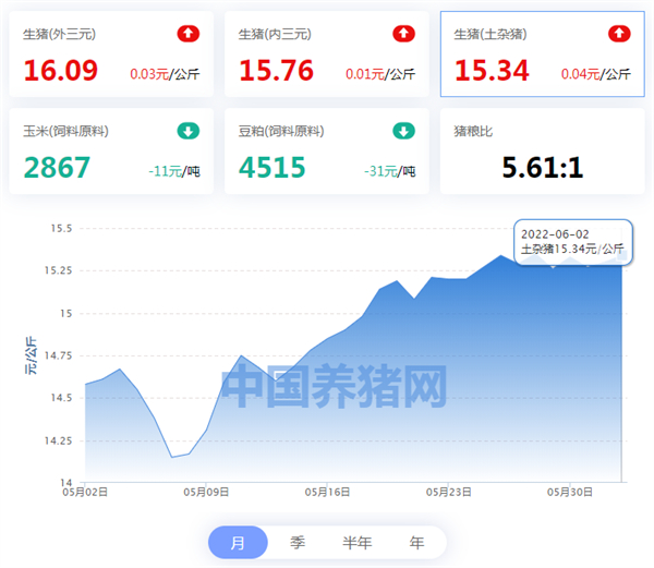 中国养猪网