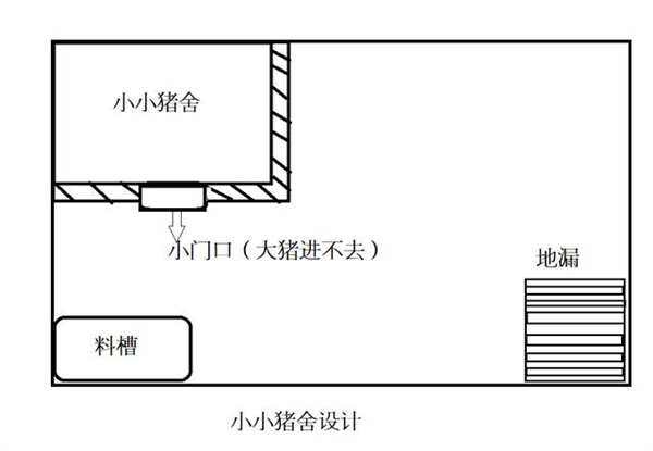 中国养猪网