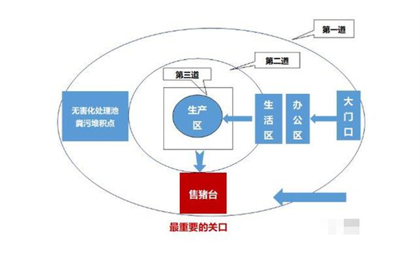 中国养猪网