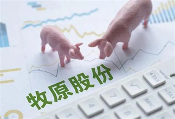 猪企双雄遭质问！双汇为何进口猪肉、牧原千亿资金来自哪里？