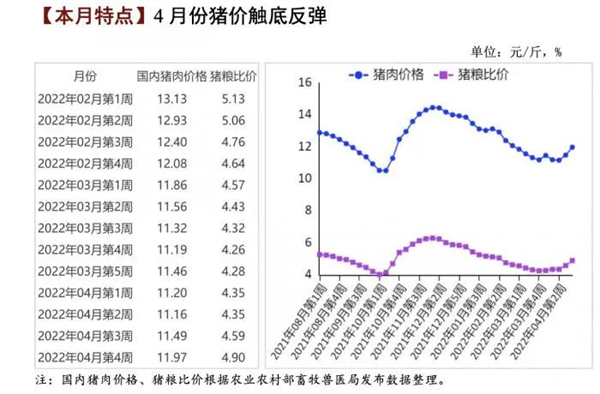 中国养猪网