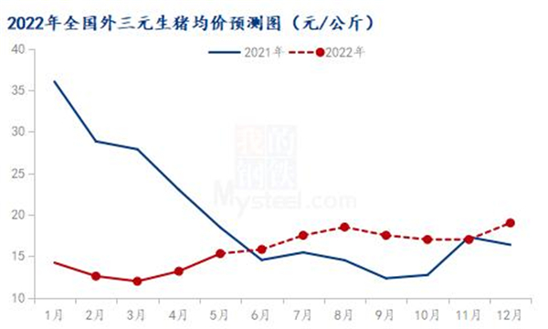 中国养猪网