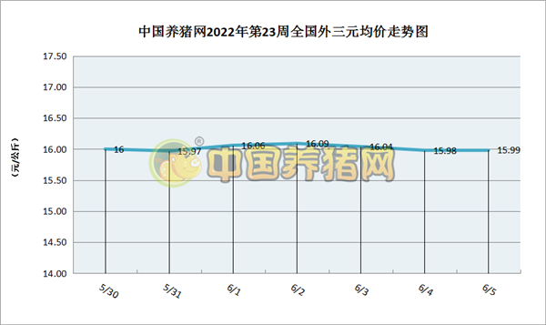 中国养猪网