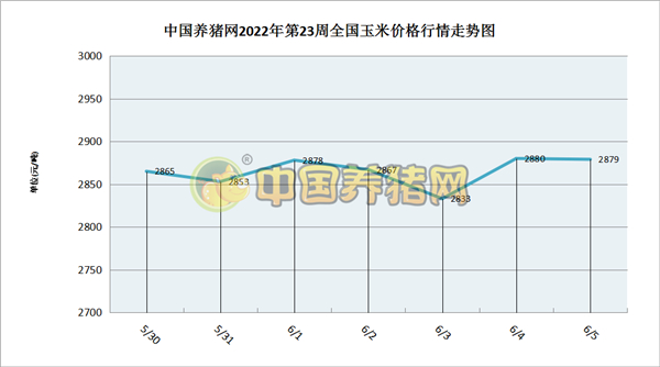 中国养猪网