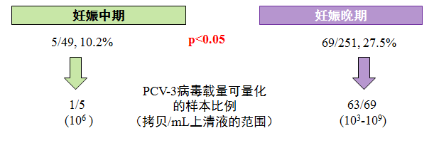 中国养猪网