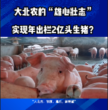 大北农的“雄心壮志”，实现年出栏2亿头生猪？