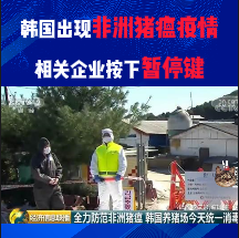韩国出现非洲猪瘟疫情，相关企业按下暂停48小时键