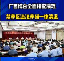 广西博白全面排查清理！禁养区违法养殖一律清退！