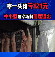 宰一头猪亏121元！未来中小型屠宰场加速退出！