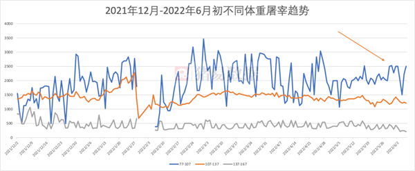 中国养猪网