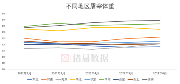 中国养猪网