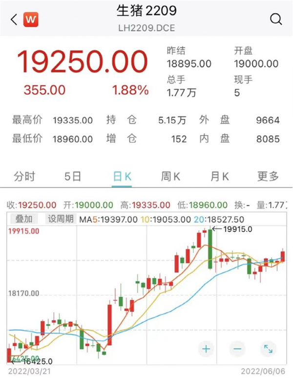 中国养猪网