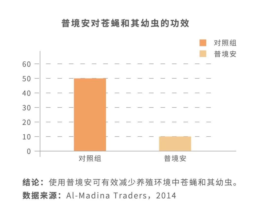 中国养猪网