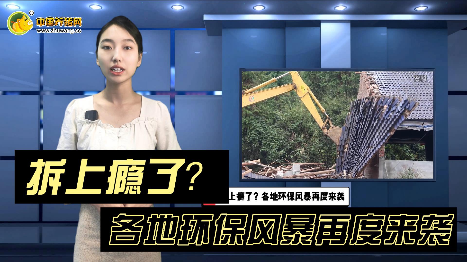 拆上瘾了？最迟7月底前，卖完存量生猪后不得再从事养殖！