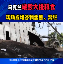 乌克兰烧毁大批粮食！现场成堆谷物焦黑、腐烂！