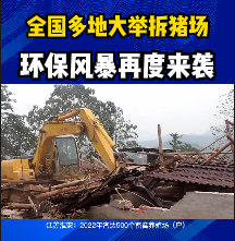 全国多地大举拆猪场，环保风暴再度来袭！