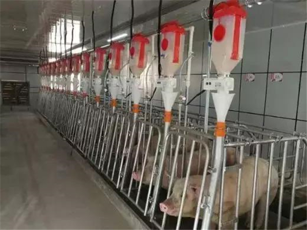 159.3万元！神农集团旗下养猪公司因环保被罚，畜牧业面临经营与环保双重压力