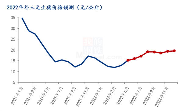 中国养猪网