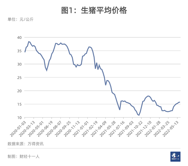 中国养猪网