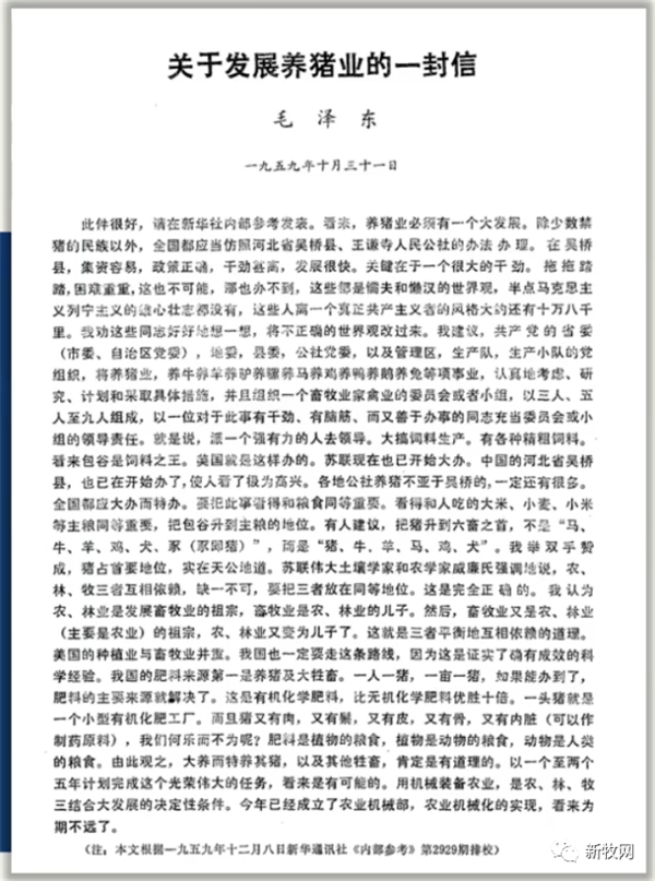 中国养猪网