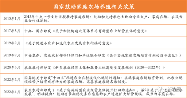 中国养猪网