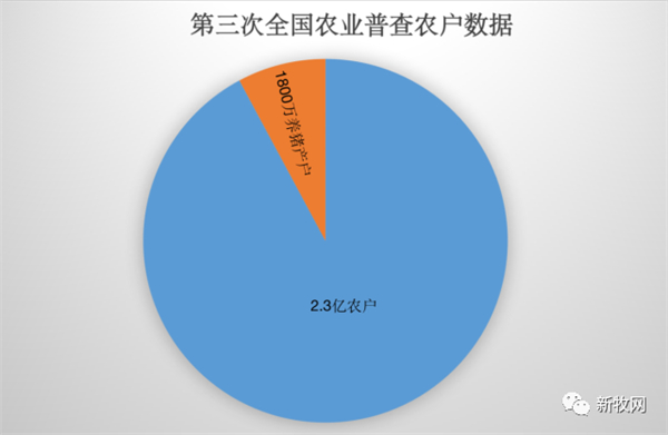 中国养猪网