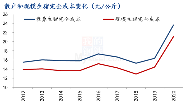 中国养猪网